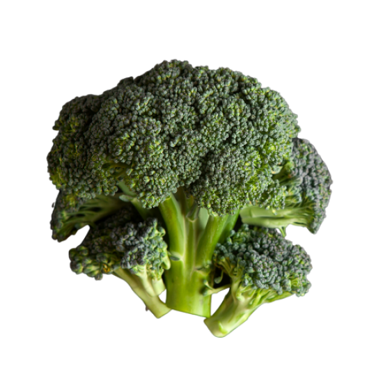 FRESHCO BROCCOLI PP